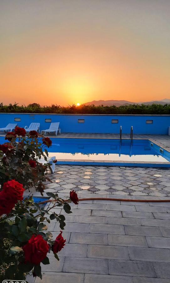 Shaloshvili'S Cellar Hotel Shilda Dış mekan fotoğraf
