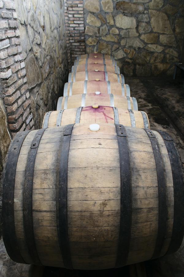Shaloshvili'S Cellar Hotel Shilda Dış mekan fotoğraf