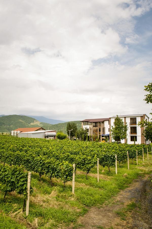 Shaloshvili'S Cellar Hotel Shilda Dış mekan fotoğraf