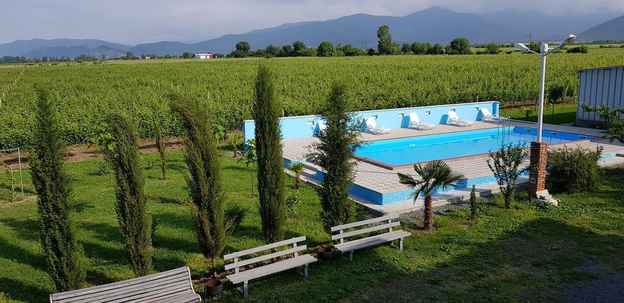 Shaloshvili'S Cellar Hotel Shilda Dış mekan fotoğraf