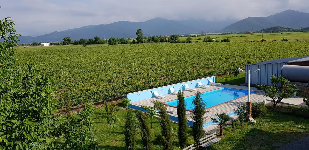 Shaloshvili'S Cellar Hotel Shilda Dış mekan fotoğraf