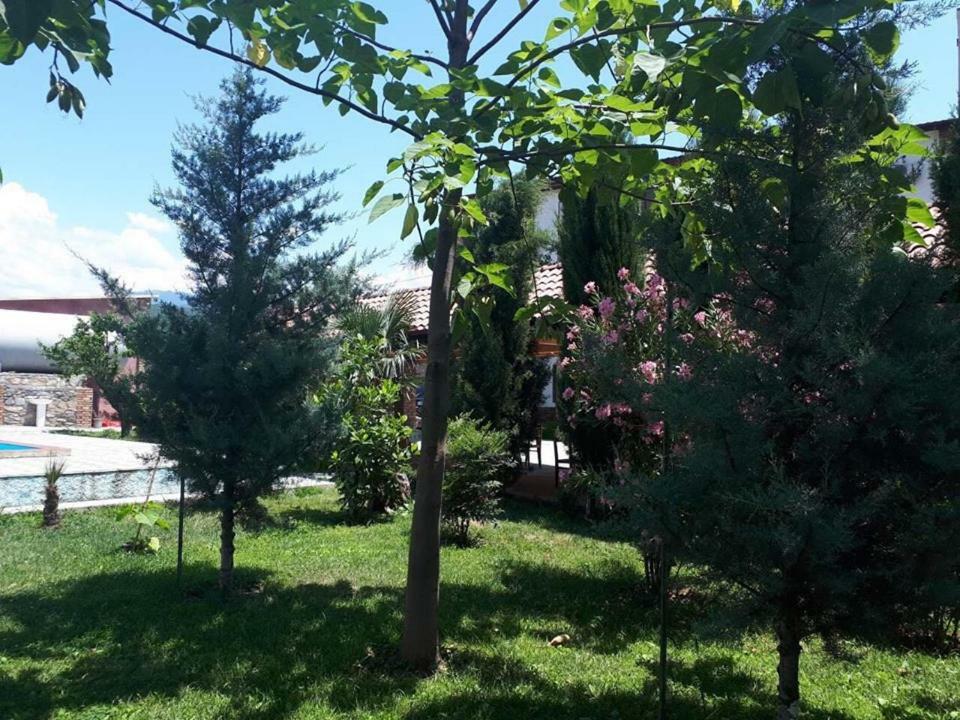 Shaloshvili'S Cellar Hotel Shilda Dış mekan fotoğraf
